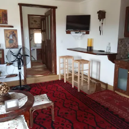 Irini's Zigovisti