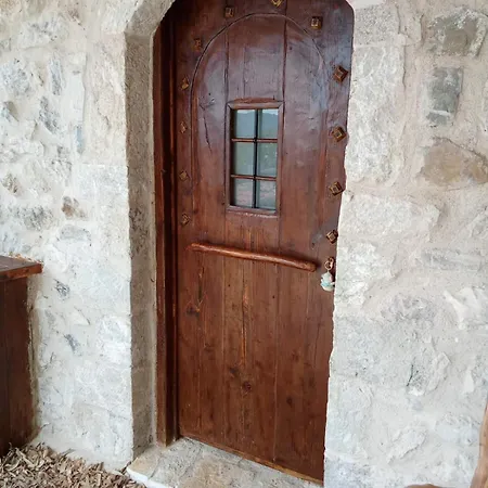 Irini's Zigovisti