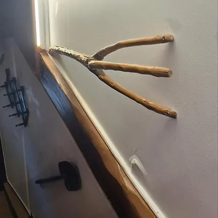 Irini's Σπίτι διακοπών Zigovisti