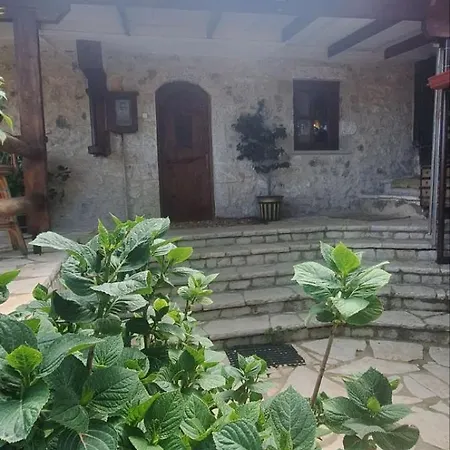 Irini's Zigovisti
