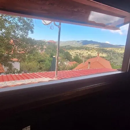Irini's * Zigovisti