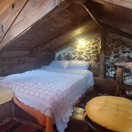 Σπίτι διακοπών Irini's Zigovisti