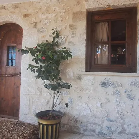 Irini's * Zigovisti