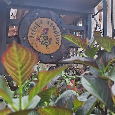 Σπίτι διακοπών Irini's Zigovisti