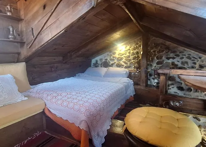 Vakantiehuis Irini's Zigovisti