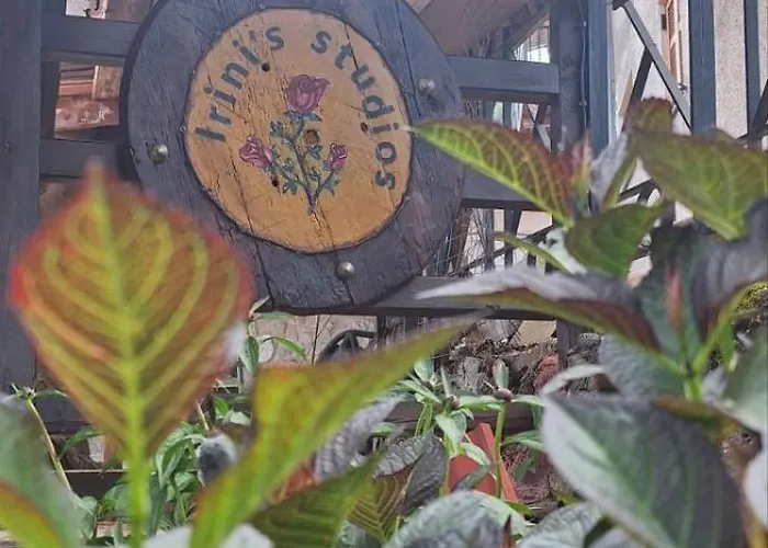 Vakantiehuis Irini's Zigovisti